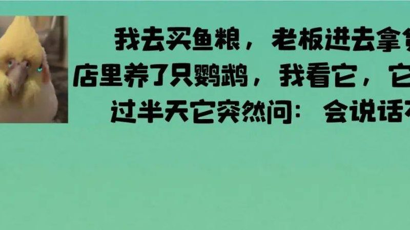 零食批发一手货源加盟流程揭秘